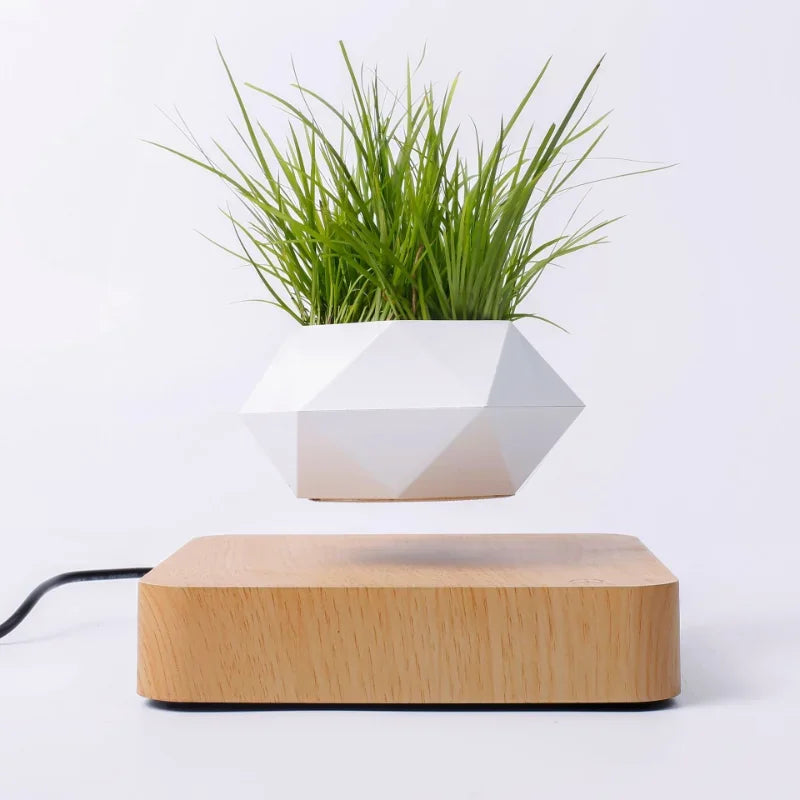 Levitation Plant Pot