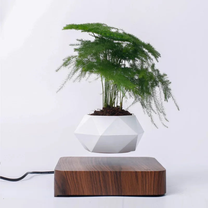 Levitation Plant Pot