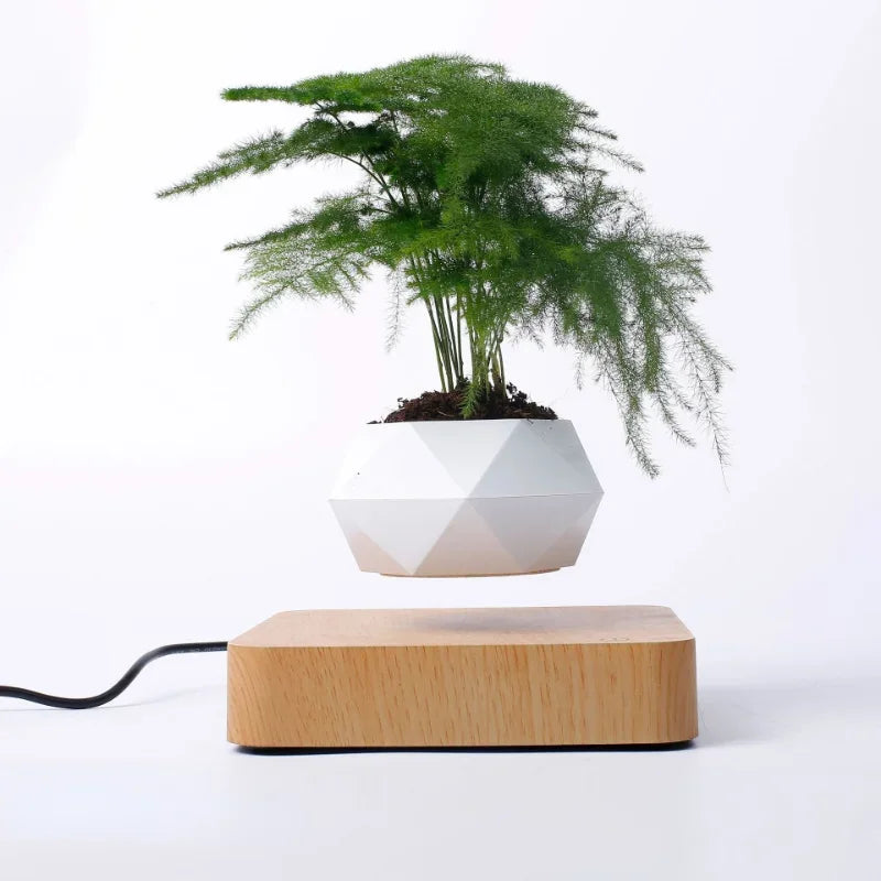 Levitation Plant Pot